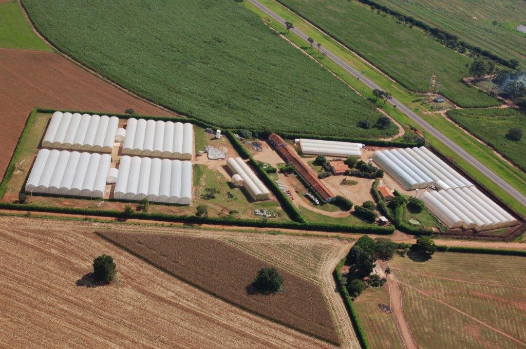 Foto aérea da Krauss Citrus